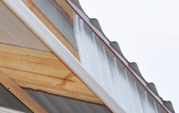 why West Looe fascia repairs are essential