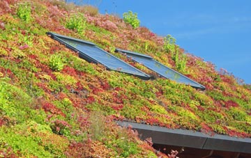 West Looe living roof systems